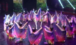 舞蹈视频大全,舞蹈视频大全精彩集锦