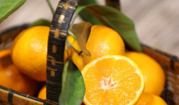 桔子视频,揭秘短视频时代的魅力与挑战